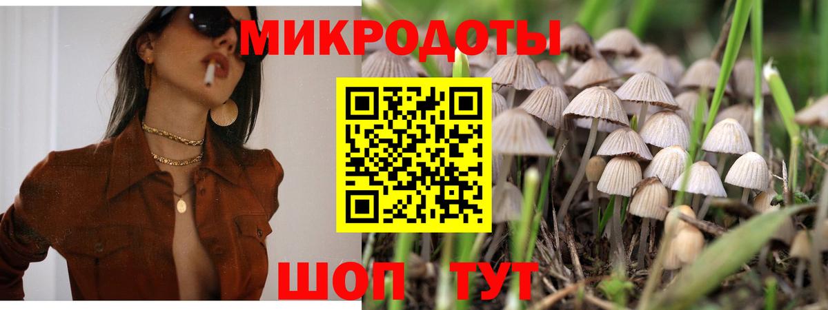 Псилоцибиновые грибы MAGIC MUSHROOMS  Вход с VPN  Жигулёвск  Псилоцибиновые грибы Psilocybine cubensis 